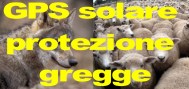 Localizzatore solare per greggi  allevamento animali